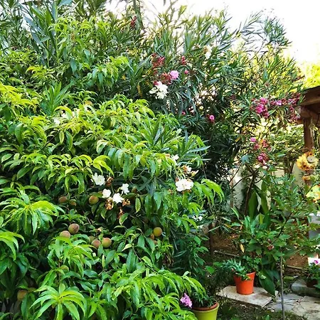 Alekos Limenas (Thasos)